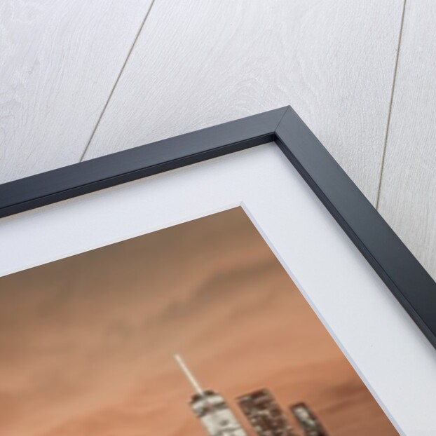 Brooklyn Bridge and Manhattan by Assaf Frank